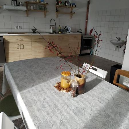 Apartman V Anenskem Udoli Моравска-Тршебова Экстерьер фото