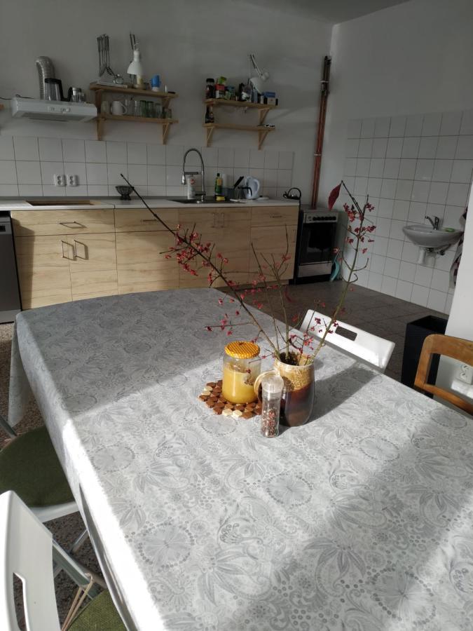 Apartman V Anenskem Udoli Моравска-Тршебова Экстерьер фото